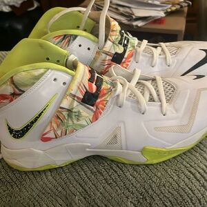 Nike Lebron James sneakers